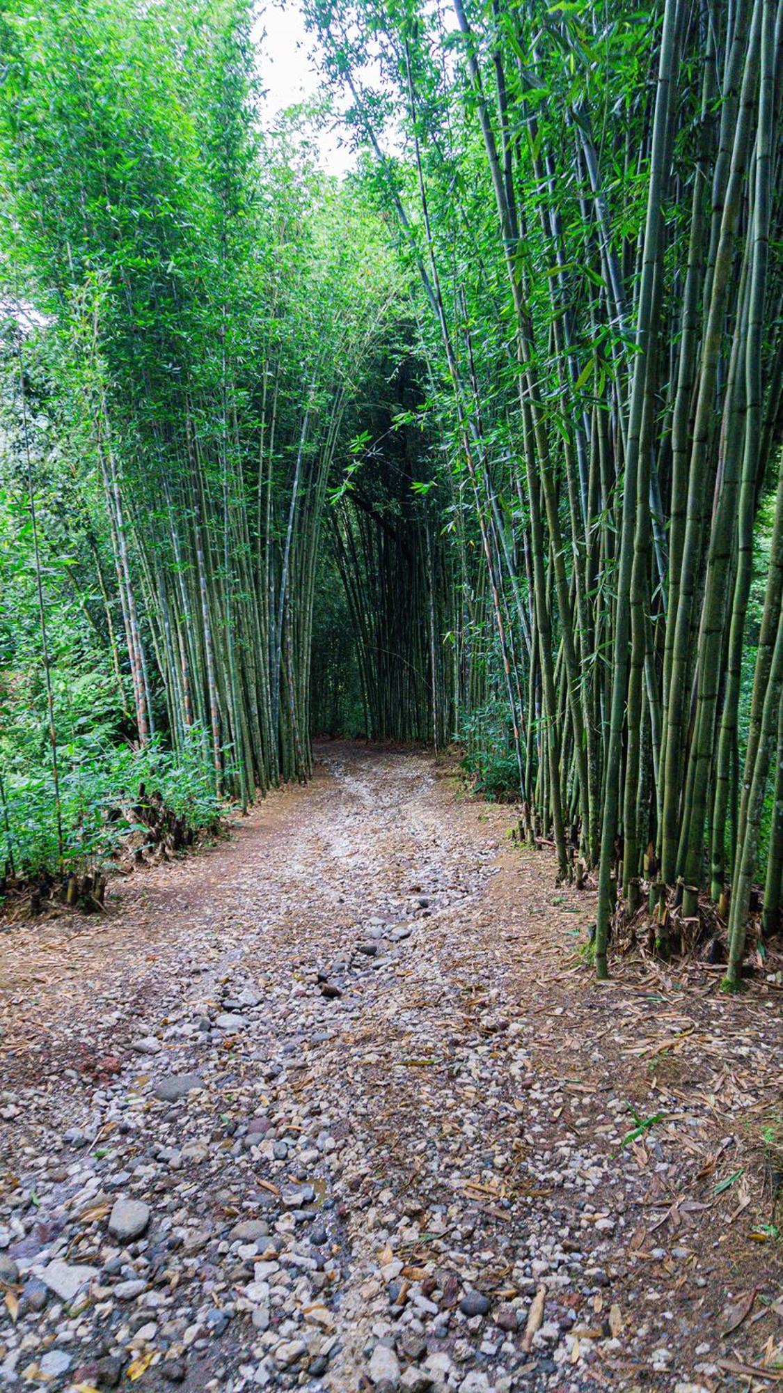 Boscana Forest Resort & Residence Coscomatepec de Bravo 외부 사진